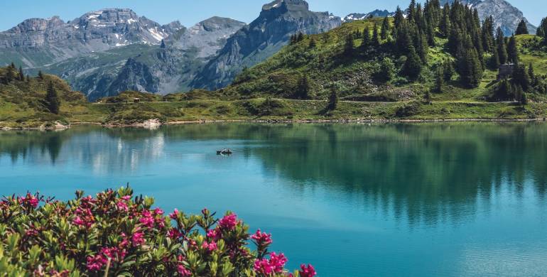 Die wunderbaren Wanderregionen der Schweiz: Orte mit unvergesslichen Sehenswürdigkeiten und faszinierender Natur